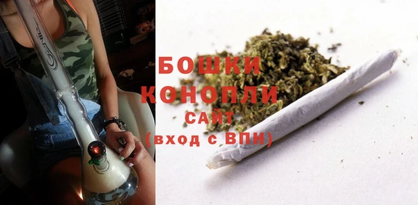 хмурый Касимов