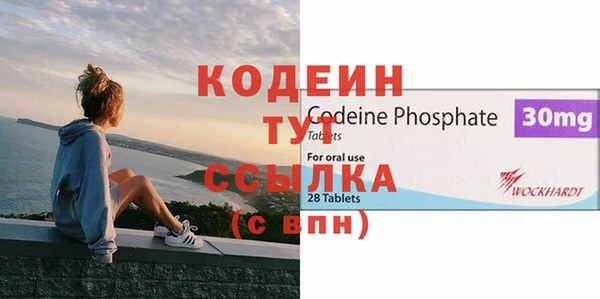 хмурый Карпинск