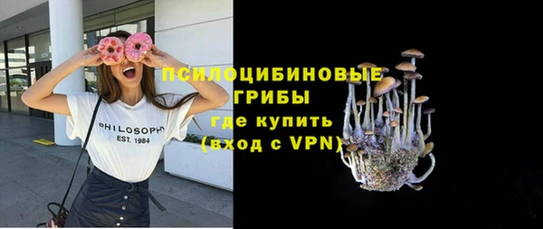 стафф Каменка