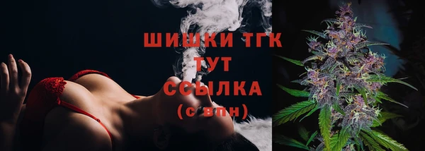хмурый Карпинск
