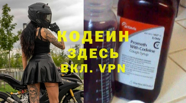 хмурый Карпинск