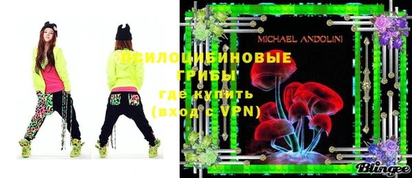 хмурый Касимов