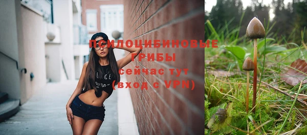 а пвп мука Заречный