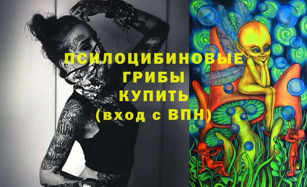 хмурый Касимов