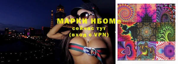 хмурый Касимов