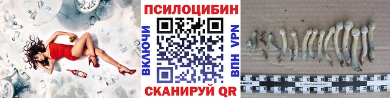 ОМГ ОМГ tor  купить  цена  Кондрово  Псилоцибиновые грибы Psilocybe 