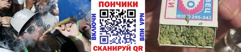 Каннабис ГИДРОПОН  Кондрово 